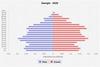 population pyramid