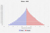 population pyramid
