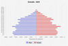 population pyramid