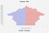 population pyramid