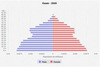 population pyramid