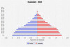 population pyramid