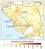 Guinea