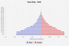 population pyramid