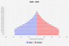 population pyramid