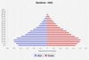 population pyramid