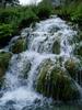 Close up of waterfalls in Plitvice Lakes National Park. The park is the largest and most popular of the eight national parks in Croatia and consists of 16 lakes linked but separated by natural dams.