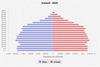 population pyramid