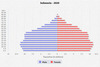 population pyramid