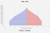 population pyramid