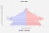 population pyramid