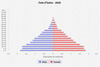 population pyramid