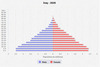 population pyramid