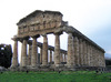 The Greek Temple of Athena at Paestum in southern Italy dates to circa 500 B.C. 