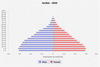 population pyramid