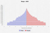 population pyramid