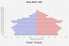 population pyramid