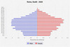 population pyramid