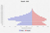 population pyramid