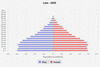 population pyramid