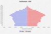 population pyramid