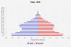population pyramid