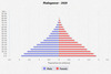 population pyramid