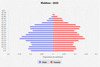 population pyramid