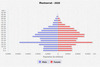 population pyramid