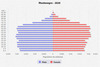 population pyramid