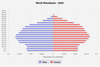 population pyramid