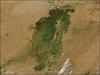 In the middle of Mali, part of the landscape gleams like a giant emerald in the otherwise arid brown African Sahel. The gleaming jewel is the Inland Niger Delta. Fed by floodwaters from the Niger River, the Bani River, and a network of smaller streams, this inland delta grows to some 20,000 sq km (7,700 sq mi) during the four-month rainy season that begins each July. During the dry season, the inland delta can shrink to roughly 3,900 sq km (1,500 sq mi).

This satellite picture of the Inland Niger Delta was taken shortly after the end of the rainy season when the landscape remained lush and green. This inland delta is a complex combination of river channels, lakes, swamps, and occasional areas of higher elevation. One such elevated area is obvious in this image, and it forms a branching shape, like a tan tree pushing up toward the north. This wet oasis in the African Sahel provides habitat both for migrating birds and West African manatees. The fertile floodplains also provide much needed resources for the local people, who use the area for fishing, grazing livestock, and cultivating rice. Image courtesy of NASA.