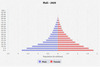 population pyramid