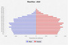 population pyramid