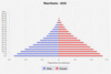 population pyramid