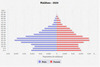 population pyramid