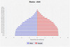 population pyramid