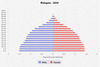 population pyramid