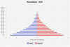 population pyramid