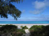 View of a beach on Sand Island in the Midway Atoll National Wildlife Refuge. Photo courtesy USFWS/David Patte.
