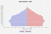 population pyramid