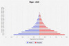 population pyramid