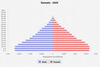 population pyramid