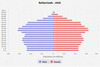 population pyramid