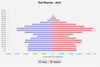 population pyramid