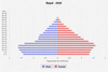 population pyramid