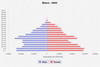 population pyramdi