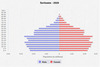 population pyramid