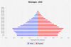 population pyramid