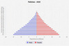 population pyramid